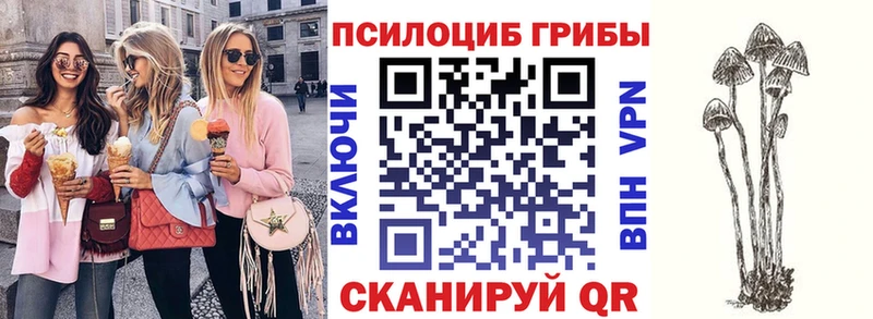 mega маркетплейс  Шумиха  Псилоцибиновые грибы Psilocybine cubensis 